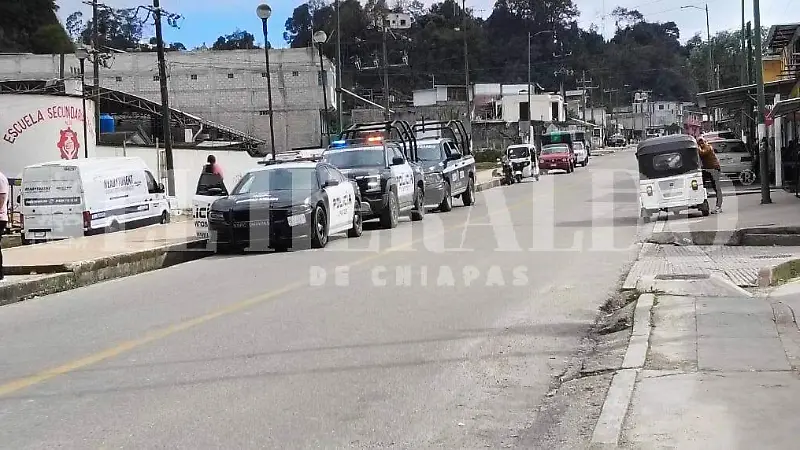 elementos de seguridad